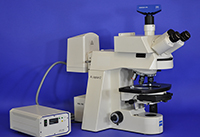 eiss AxioPlan-2 Upright Manual Fluorescence Microscope