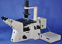 Zeiss-Axiovert 200 Fluorescence Microscope