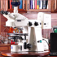 Zeiss AxioPlan 2ie MOT Motorized Upright Fluorescence Microscope