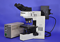 Olympus BX40 Upright Fluorescence Microscope