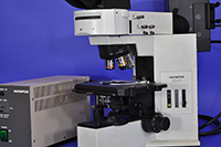 Olympus BX40 Upright Fluorescence Microscope