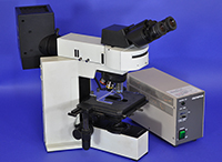 Olympus BX40 Upright Fluorescence Microscope