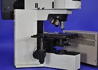 Olympus BX40 Upright Fluorescence Microscope