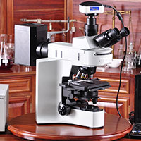 Olympus BX41 Upright Fluorescence Research Microscope