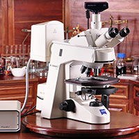 Zeiss AxioSkop-2 Plus Upright Fluorescence Phase Contrast Microscope