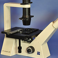 Zeiss AxioVert 25 Inverted Phase Contrast Cell Tissue Culture Microscope