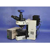 Olympus BX60 Upright Fluorescence Microscope