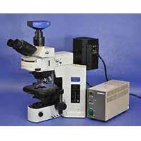 Olympus BX51 Upright Fluorescence Microscope