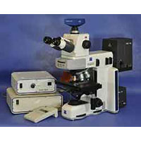 Zeiss AxioScope.A1 Upright Fluorescence Microscope