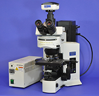 Olympus BX51 Upright Fluorescence Microscope