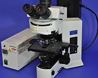 Olympus BX51 Upright Fluorescence Microscope