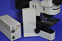 Olympus BX51 Upright Fluorescence Microscope