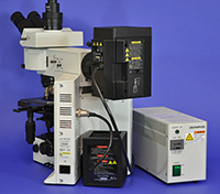 Olympus BX51 Upright Fluorescence Microscope