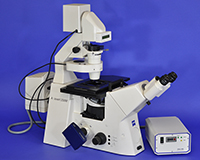 Zeiss AxioVert 200M Inverted Motorized Fluorescence Phase Contrast Microscope