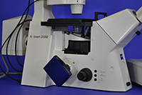 Zeiss AxioVert 200M Inverted Motorized Fluorescence Phase Contrast Microscope