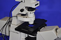 Zeiss AxioVert 200M Inverted Motorized Fluorescence Phase Contrast Microscope