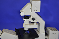 Zeiss AxioVert 200M Inverted Motorized Fluorescence Phase Contrast Microscope