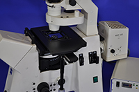 Zeiss AxioVert 200M Inverted Motorized Fluorescence Phase Contrast Microscope