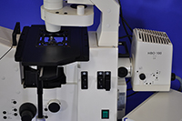 Zeiss AxioVert 200M Inverted Motorized Fluorescence Phase Contrast Microscope