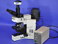 Olympus BX50 Upright Fluorescence Microscope