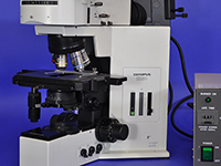 Olympus BX50 Upright Fluorescence Microscope