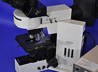 Olympus BX50 Upright Fluorescence Microscope