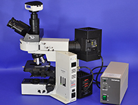 Olympus BX50 Upright Fluorescence Microscope