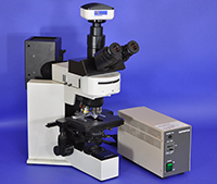 Olympus BX50 Upright Fluorescence Microscope