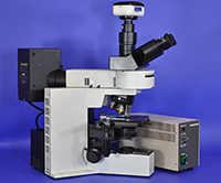 Olympus BX50 Upright Fluorescence Microscope