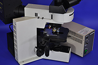 Olympus BX50 Upright Fluorescence Microscope