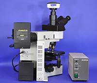 Olympus BX50 Upright Fluorescence Microscope