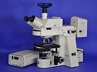 eiss AxioPlan-2 Upright Manual Fluorescence Microscope