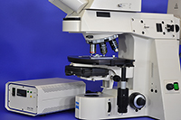 eiss AxioPlan-2 Upright Manual Fluorescence Microscope