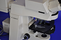 eiss AxioPlan-2 Upright Manual Fluorescence Microscope