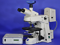 Zeiss Axioskop-2 Mot Plus Upright Motorized Fluorescence Microscope