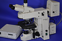 Zeiss Axioskop-2 Mot Plus Upright Motorized Fluorescence Microscope