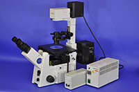 Olympus IX71 Inverted Fluorescence Phase Contrast Microscope
