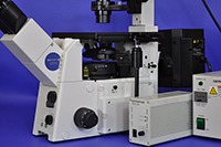 Olympus IX71 Inverted Fluorescence Phase Contrast Microscope