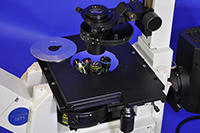 Olympus IX71 Inverted Fluorescence Phase Contrast Microscope