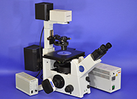 Olympus IX71 Inverted Fluorescence Phase Contrast Microscope