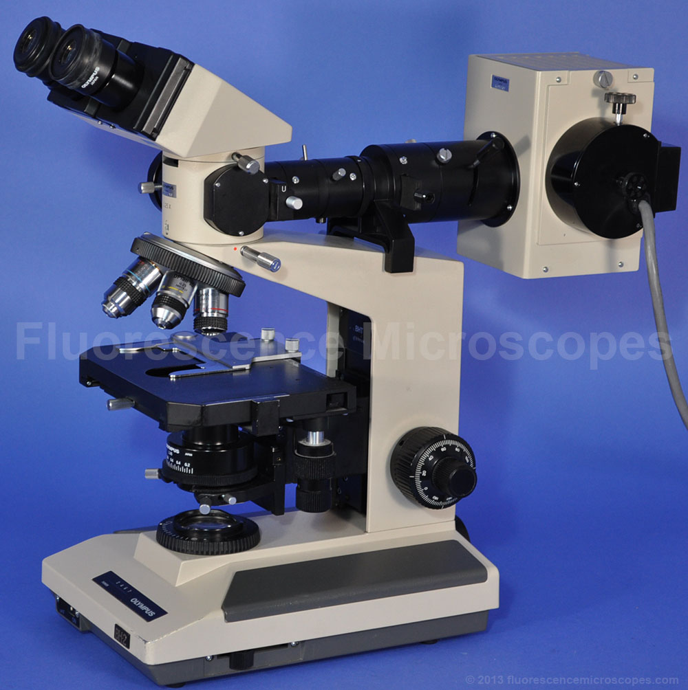 Fluorescence Microscopes - Olympus Bh2 Fluorescence Binocular